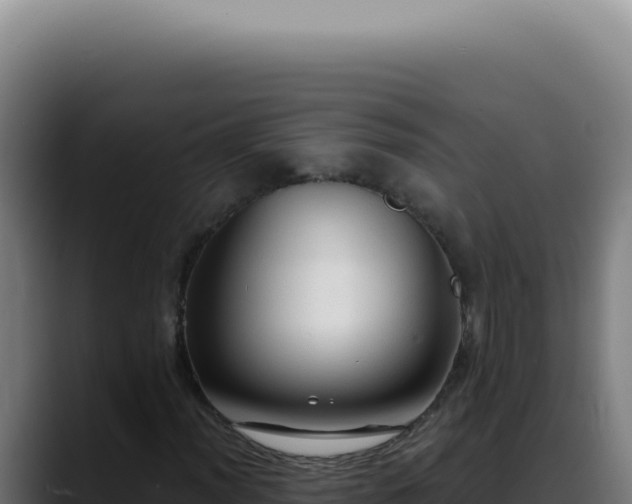 X0000088411012200705291445