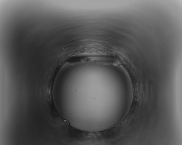 X0000088411013200705291445