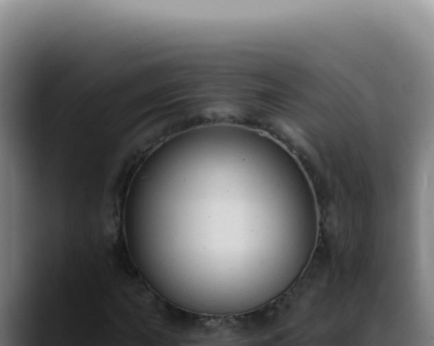 X0000088411015200705291445