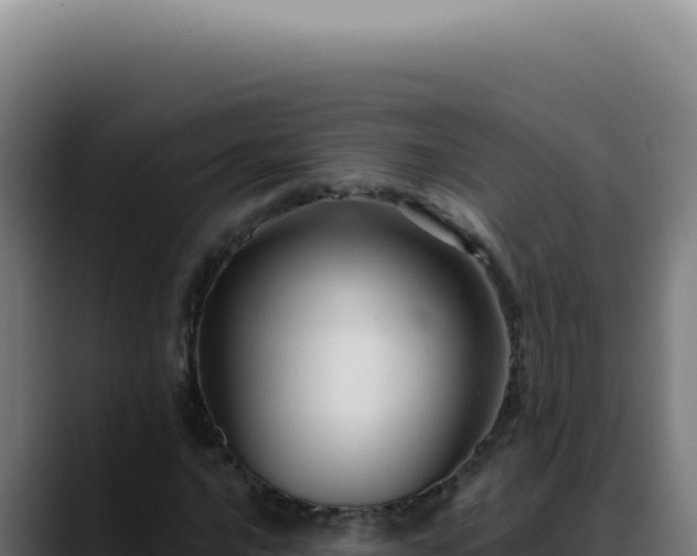 X0000088411016200705291445