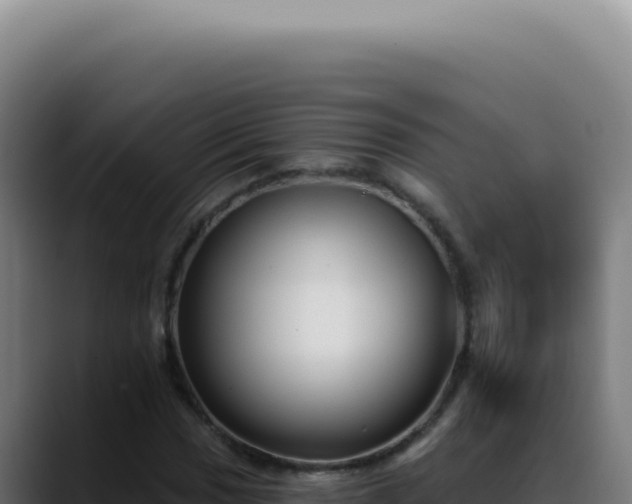 X0000088411017200705291445