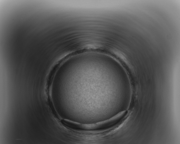 X0000088411018200705291445