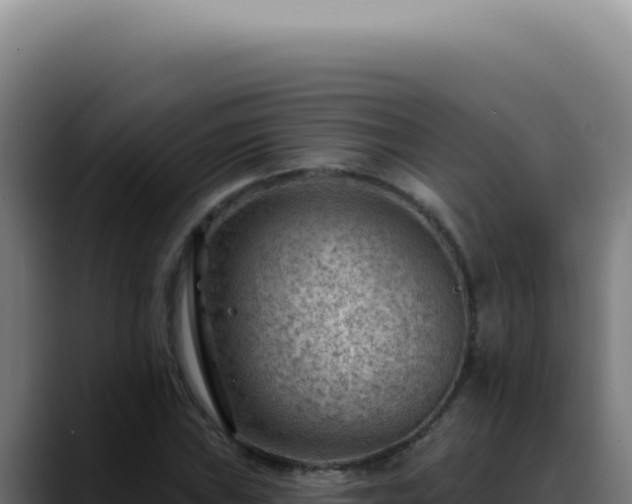 X0000088411019200705291445
