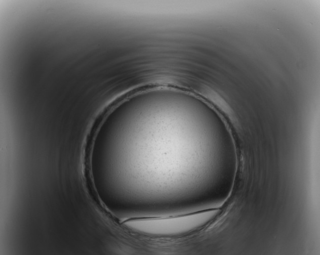 X0000088411020200705291445