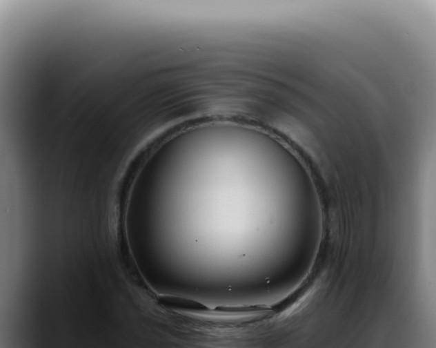 X0000088411021200705291445