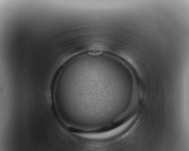 X0000088411022200705291445