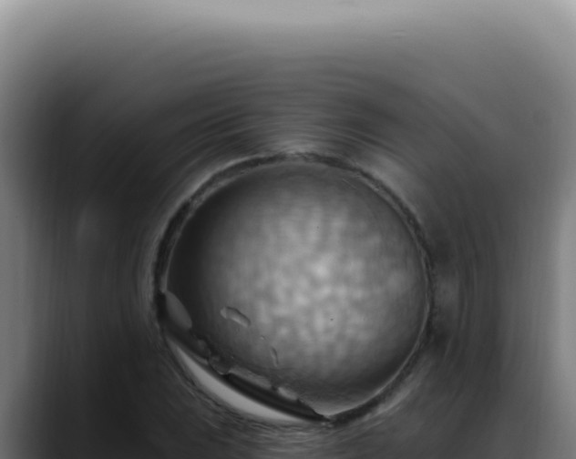X0000088411023200705291445