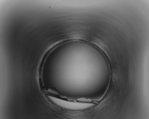 X0000088411024200705291445