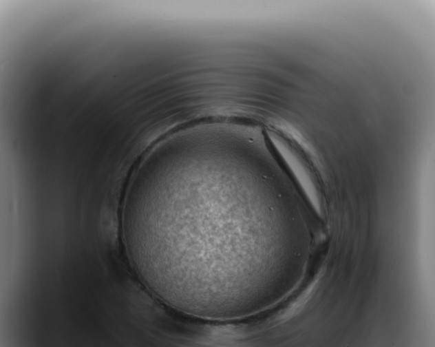 X0000088411025200705291445