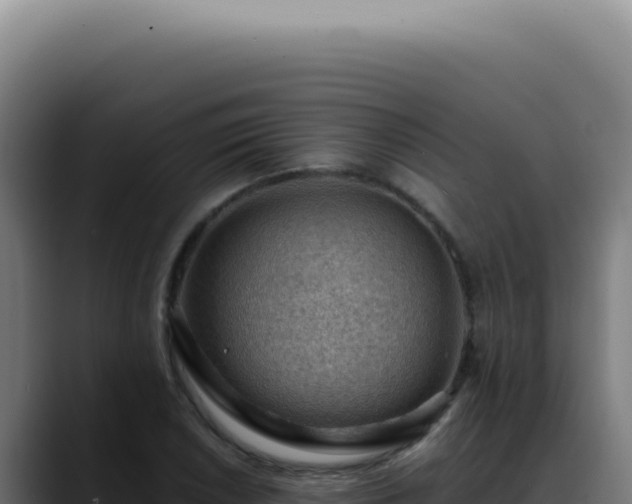X0000088411026200705291445
