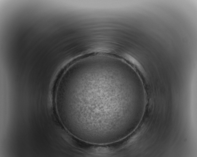 X0000088411027200705291445