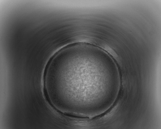 X0000088411028200705291445