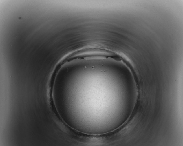 X0000088411029200705291445