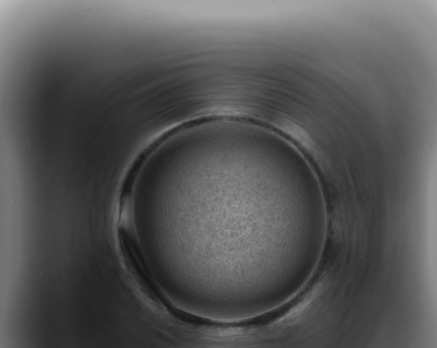 X0000088411030200705291445