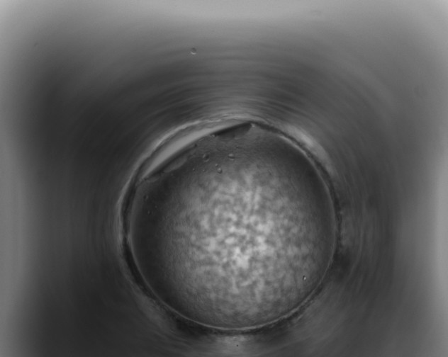 X0000088411031200705291445