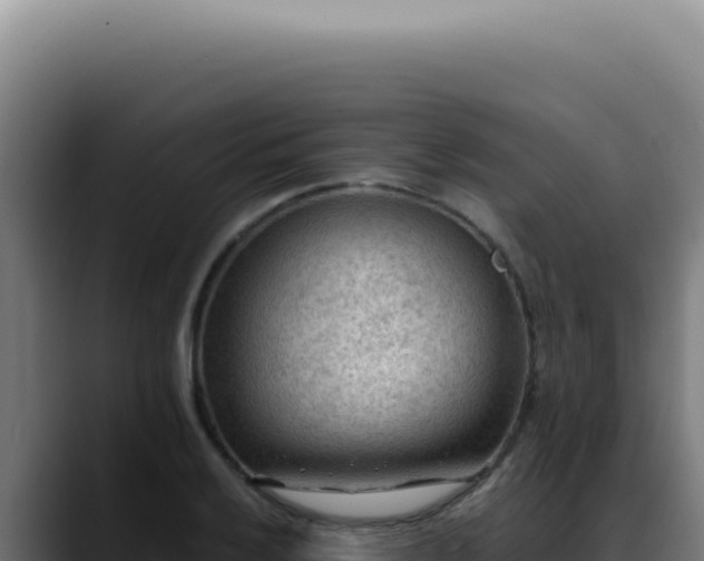 X0000088411032200705291445