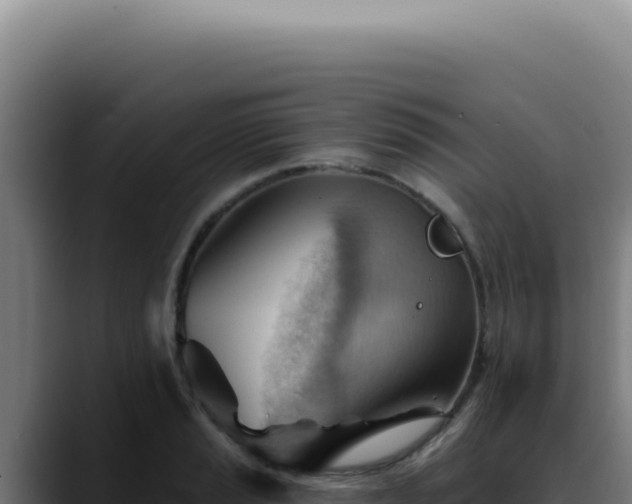 X0000088411037200705291445