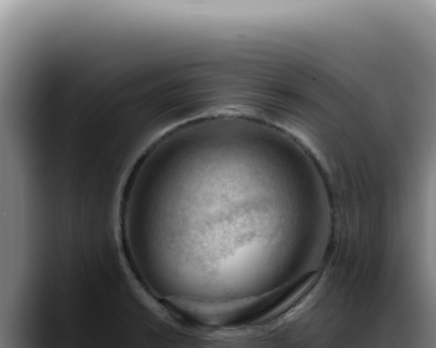 X0000088411038200705291445