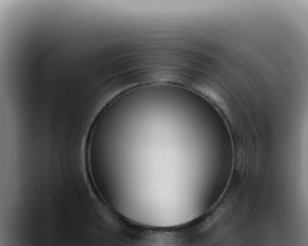 X0000088411039200705291445