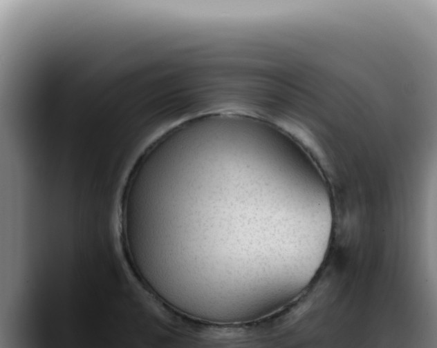 X0000088411040200705291445