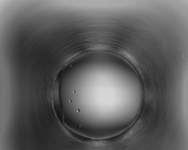 X0000088411041200705291445