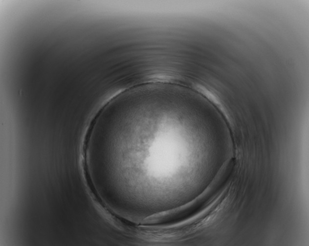 X0000088411042200705291445