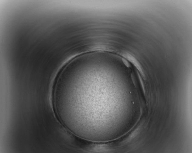 X0000088411043200705291445