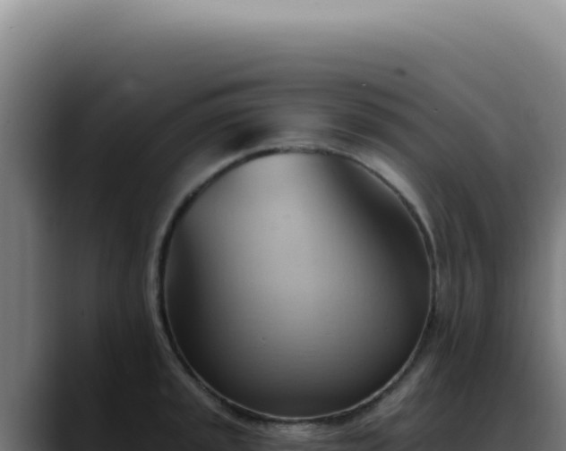 X0000088411045200705291445