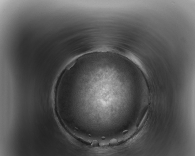 X0000088411046200705291445
