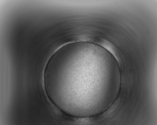 X0000088411047200705291445