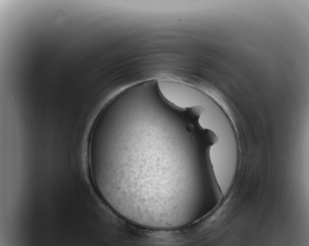 X0000088411048200705291445