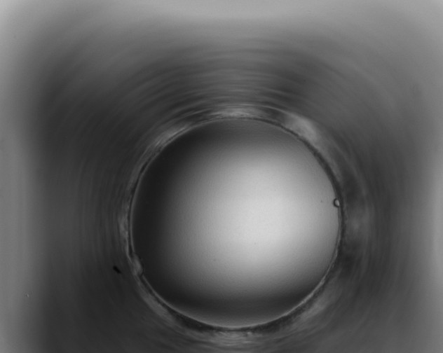 X0000088411049200705291445