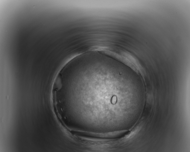 X0000088411050200705291445