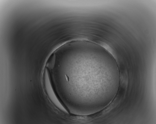 X0000088411052200705291445