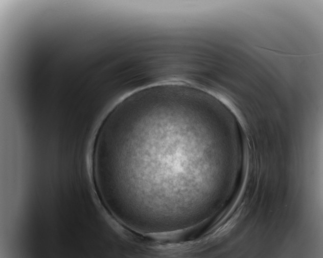X0000088411054200705291445