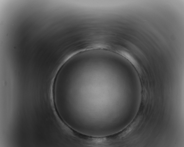 X0000088411055200705291445