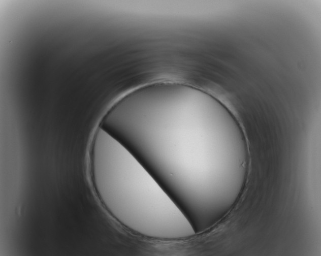 X0000088411056200705291445