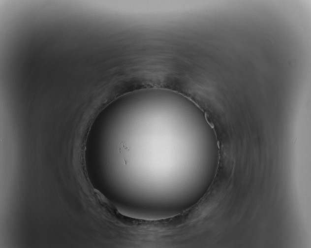 X0000088411057200705291445