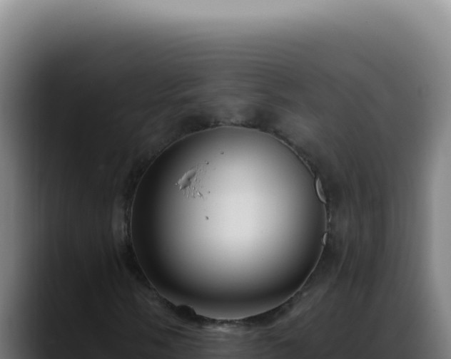 X0000088411058200705291445