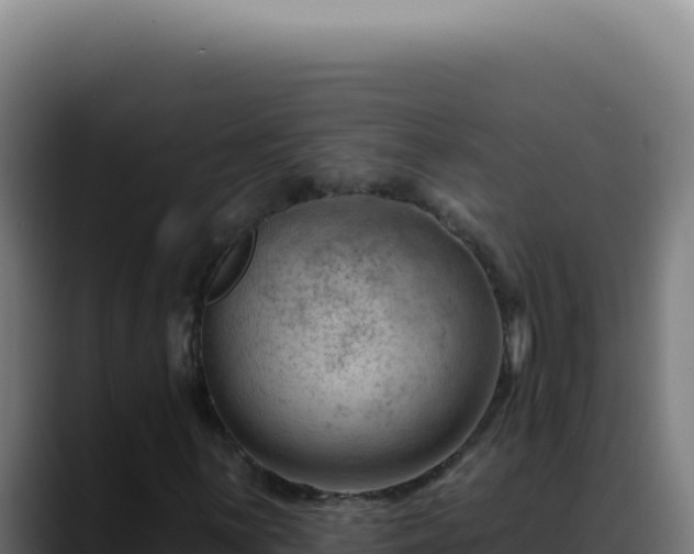 X0000088411059200705291445