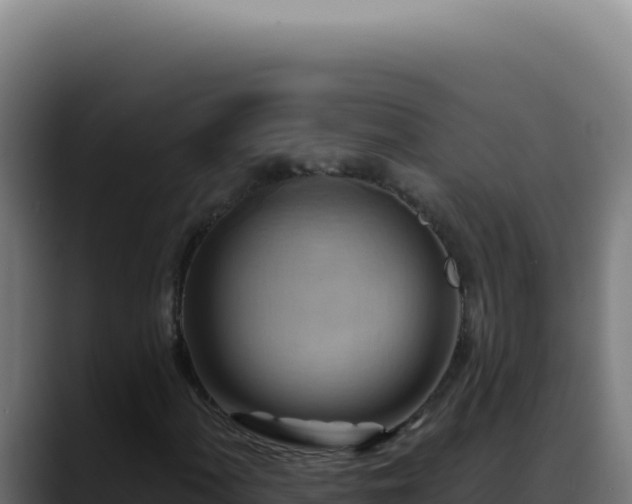 X0000088411060200705291445