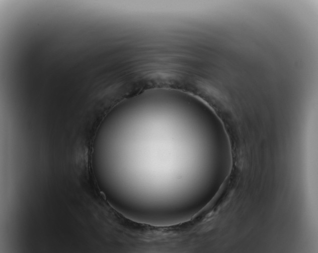 X0000088411061200705291445