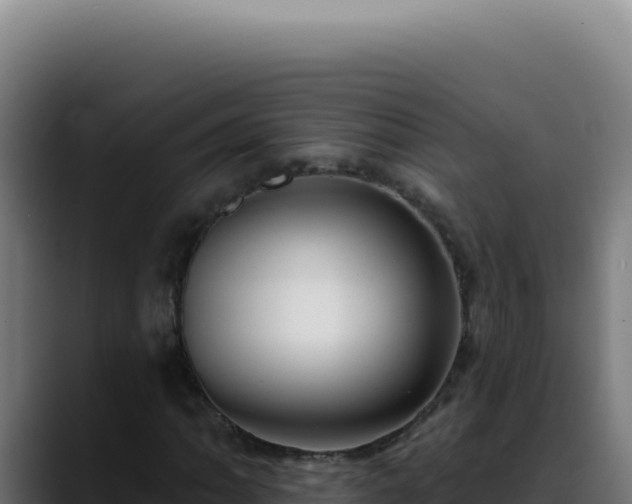 X0000088411062200705291445