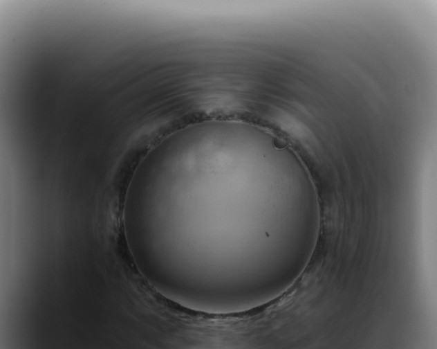 X0000088411063200705291445