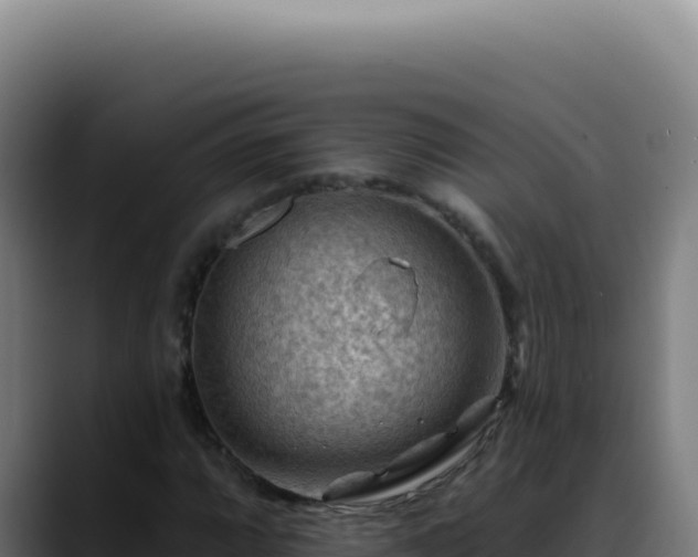 X0000088411064200705291445