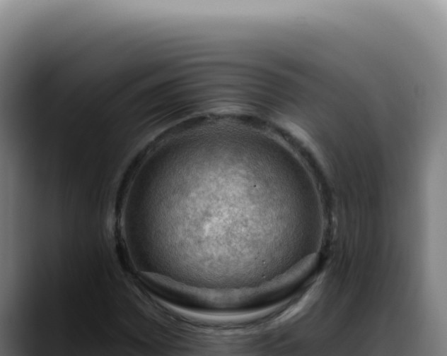 X0000088411065200705291445