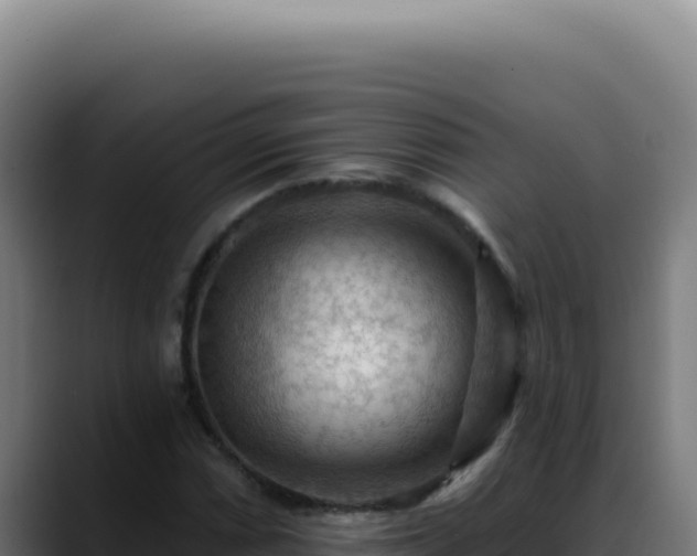 X0000088411066200705291444