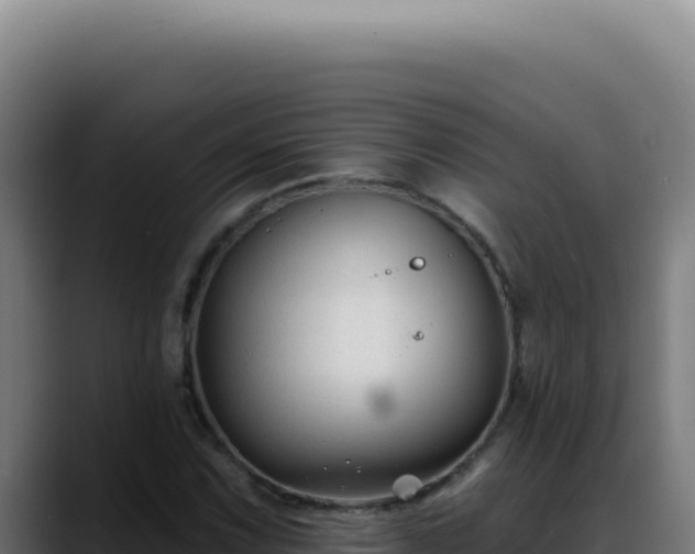 X0000088411067200705291444