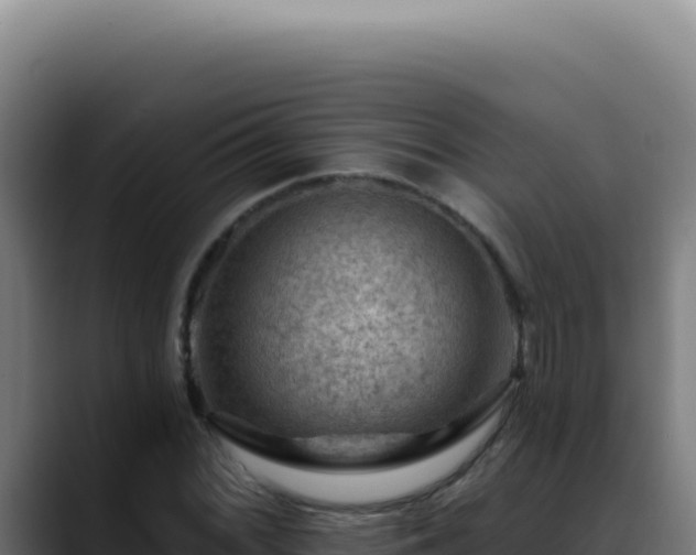 X0000088411068200705291444