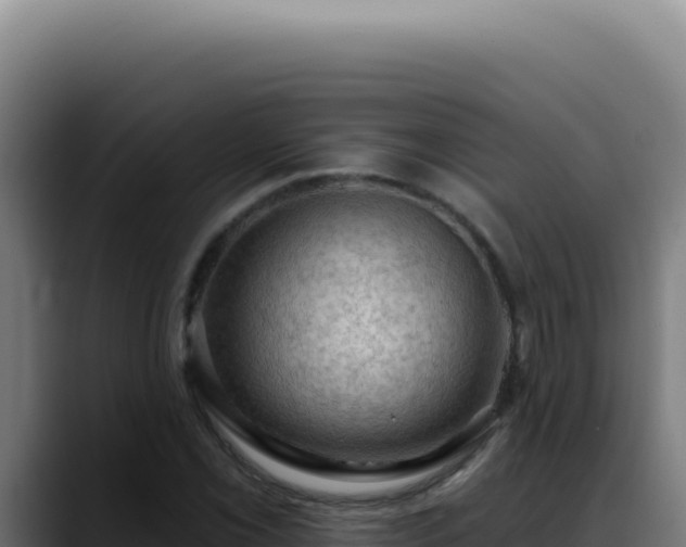 X0000088411069200705291444